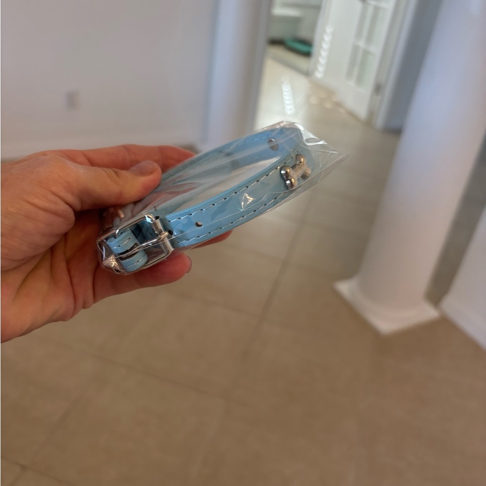 Light Blue Dog Collar with Silver Bone Charm - Picture 4 of 7